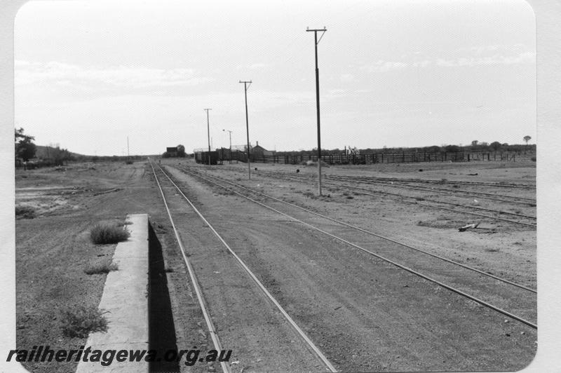 P09528
Yard and sidings, water tower in distance, wagons in yard, stock races and stockyards, view from platform looking east, Yalgoo, NR line.
