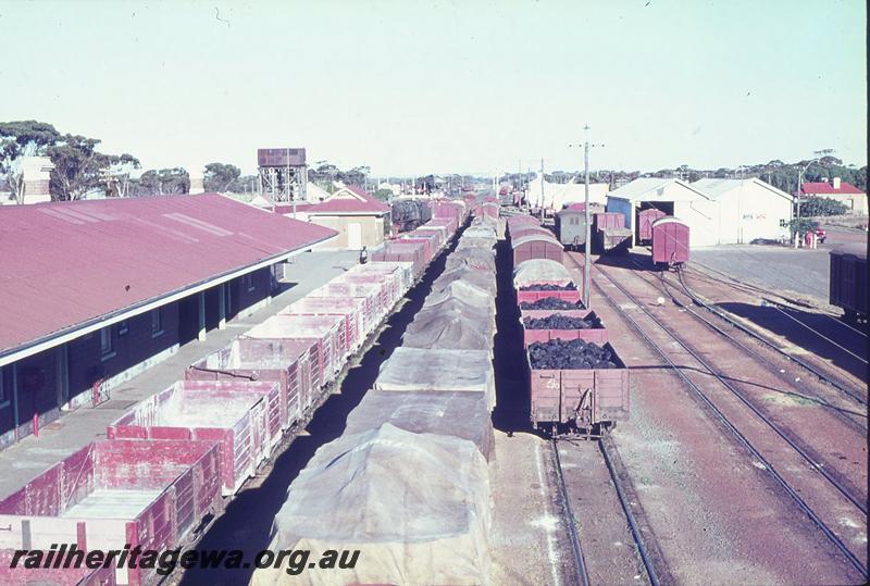 P09689
Station buildings, platform, water tower, S class at end of platform, view of interior of open wagons, line of wagons covered with tarpaulins, wagons with coal loads, elevated view from footbridge, overall view of up yard at Wagin, GSR line.
