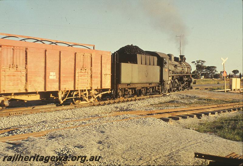 P09775
PM class 705, RCW class wagon behind the loco, Up goods, old alignment of EGR main, east end of West Merredin yard, new track in foreground. EGR line.
