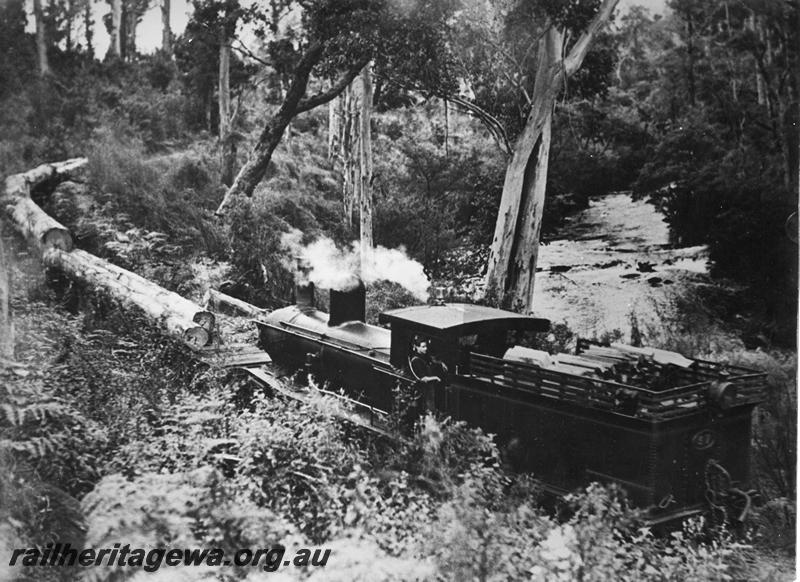 P10154
SSM loco No.57, Pemberton, hauling a log train in the bush, running tender first.
