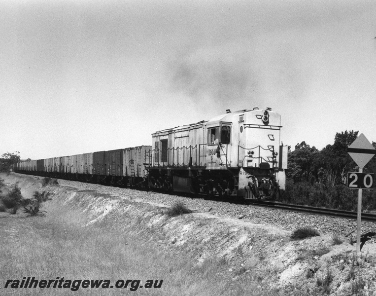 P10475
R class 1905 diesel locomotives on a coal train of GH class high sided wagons near Wellard enroute to Kwinana. The locomotive is painted in a pink livery and is equipped with safety chains between the side posts. In the foreground is a speed restriction sign.
