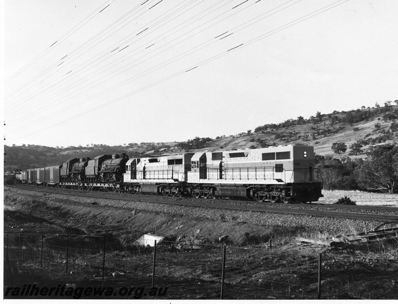 P10486
L class 275 and 258 standard gauge diesel locomotives with an eastbound freight train in the lower part of the Avon Valley. The two W class steam locomotives, loaded on heavy lift wagons, were enroute to Port Augusta for use by Pichi Richi Preservation Society out of Quorn in South Australia.
