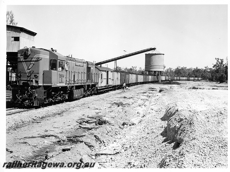 P10540
R class 1904 diesel locomotive loading a rake of GH wagons with coal. Front and side view of locomotive.
