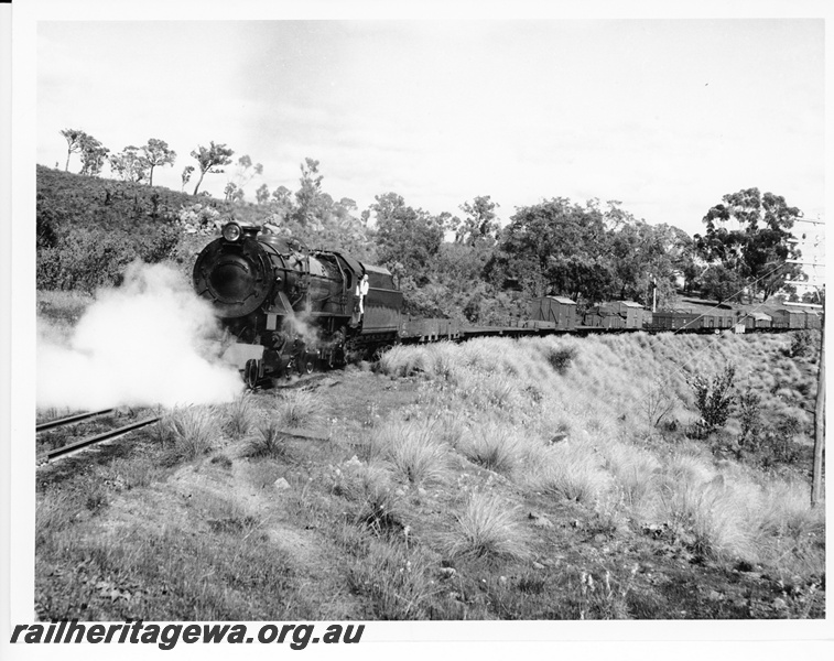 P10561
An unidentified V class steam locomotive with a loaded goods train on a trial run near Swan View at the start of the Darling Ranges.
