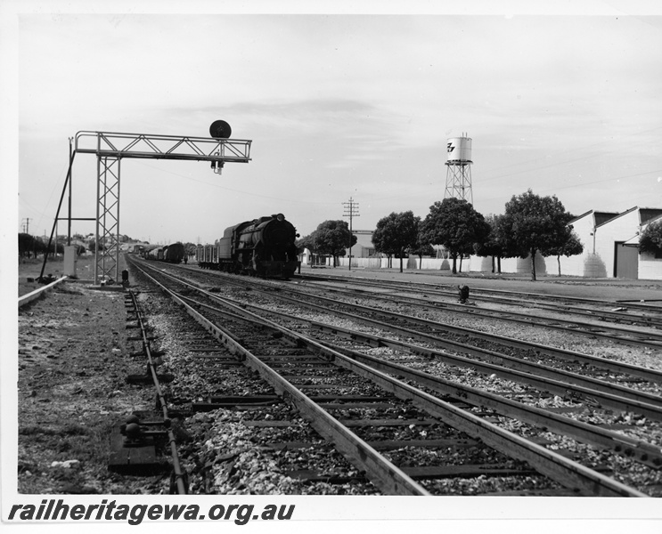 P10696
V class narrow gauge steam locomotive shunting at Maylands. Note the signal gantry protruding over the lines and the Massey Ferguson factory area to the right.
