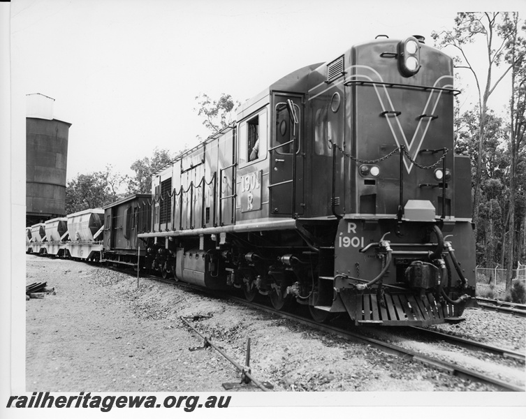 P10697
R class 1901 diesel locomotive hauling a bauxite train between Jarrahdale and Mundijong on its inaugural trip. Good front and side view of locomotive.

