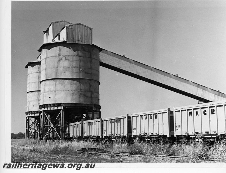 P10704
Mineral sand containers, on QW class flat top wagons, being loaded at Eneabba.
