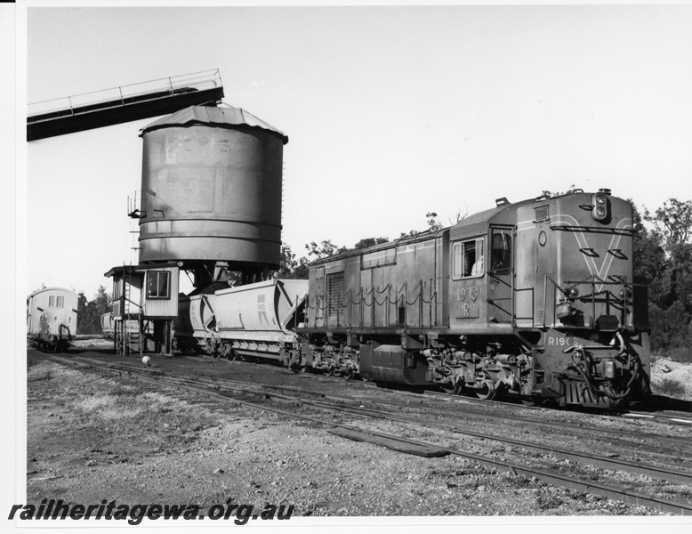 P10717
R class 1903 narrow gauge diesel locomotive loading a coal train of XG class wagons at Collie for Kwinana.
