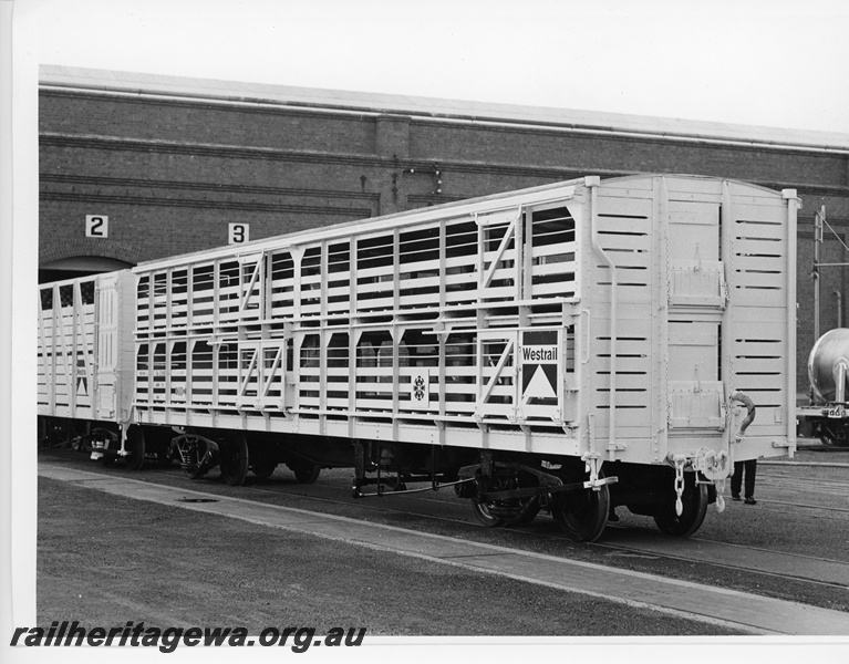 P10746
SX class narrow gauge bogie sheep wagon in lead of a TA class cattle wagon at Midland Workshops.
