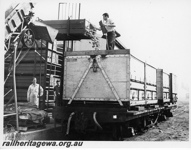 P10777
Apples being loose loaded into wooden containers loaded onto NF class narrow gauge flat top wagons at Donnybrook.

