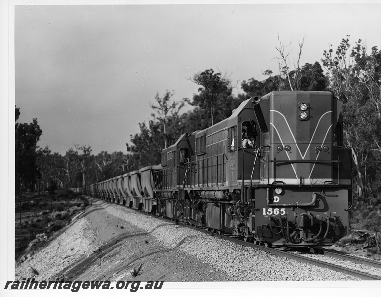 P10788
D class 1565 and another D class diesel, double heading bauxite train, rural setting, side and front view

