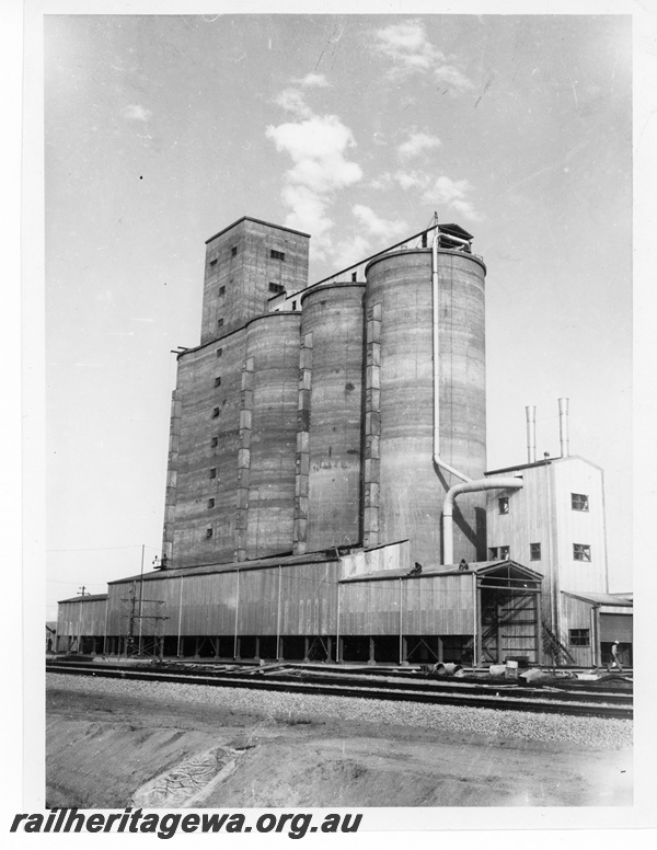 P10846
CBH grain silos, loading facilities, West Merredin, EGR line
