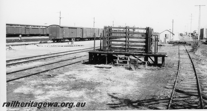 P10883
Commonwealth Railways (CR) covered vans of the VC/VD classification awaiting loading or empty transfer to Port Augusta/Port Pirie. A livestock transfer ramp is in the foreground.

