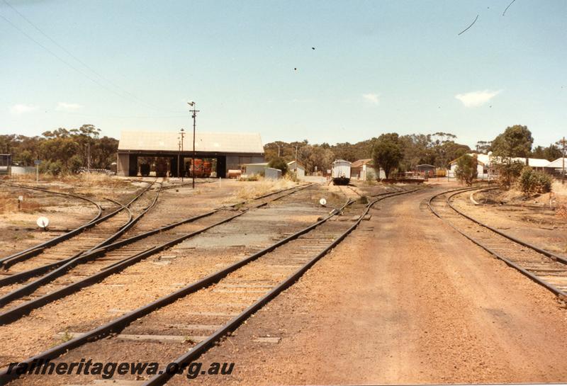P11054
Loco shed, Narrogin loco depot, GSR line, general view looking towards the front of the shed
