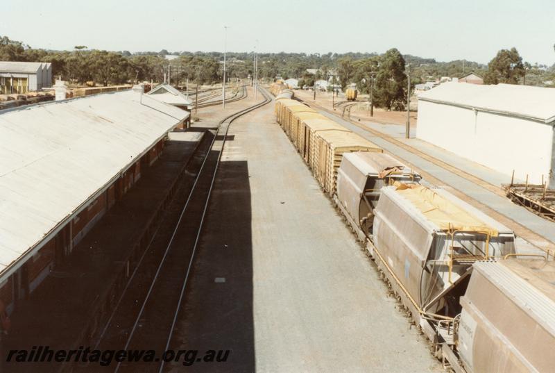 P11061
Yard with lines of wagons, Narrogin, GSR line, elevated looking south showing the tracks on the west side of the yard
