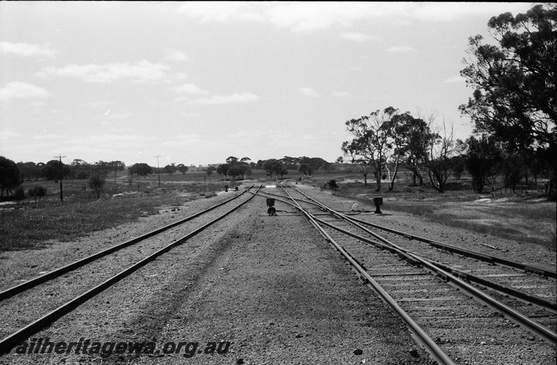 P11083
Yard, Yilliminning, NWM line, view along tracks looking east
