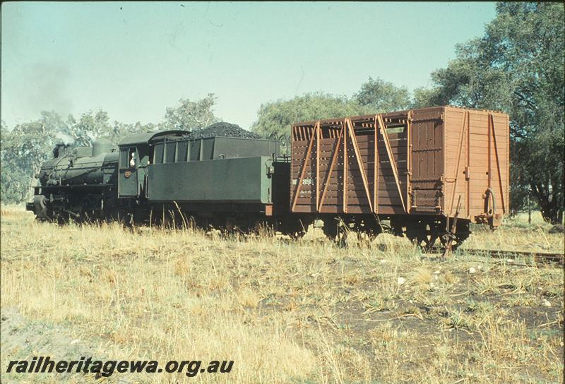 P11235
PMR class 731, BE class 20568, shunting stock wagon into siding, Busselton Abattoirs?
