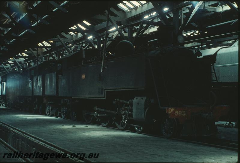 P11259
DD class, DM class 588, interior of shed, East Perth loco shed. ER line.
