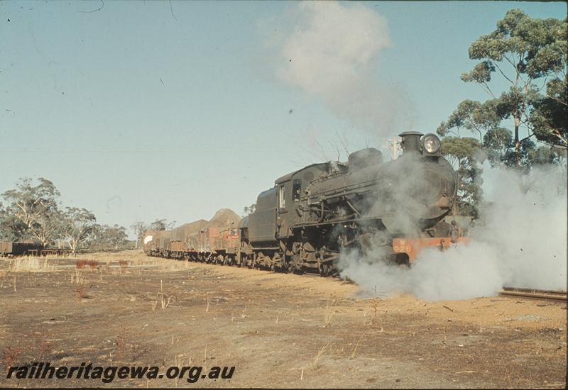 P11297
W class 928, with auxiliary water tank on goods train, wagons near rail built ramps to left. Narrogin?

