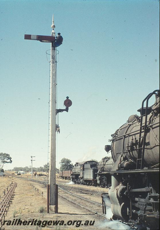 P11307
P class 503, V class 1206 departing, V class 1216 waiting at a tall signal with a shunting dolly half way up the pole. Other signals, Brookton. GSR line.
