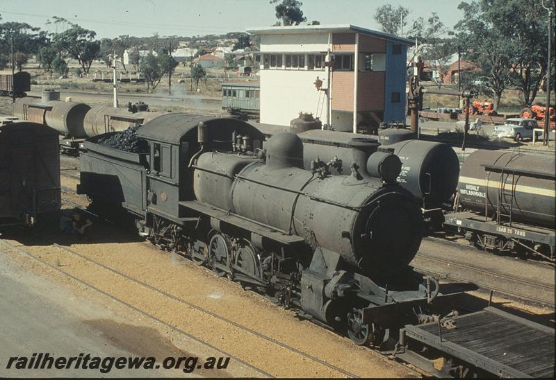 P11320
FS class 413, shunting in yard, signal box in background, fuel tanks, spare ACL class carriage, tractors on loading ramp, Narrogin. GSR line.
