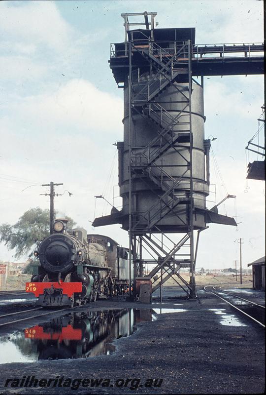 P11426
PM class 719, W class 913, coaling plant, East Perth loco shed. ER line.
