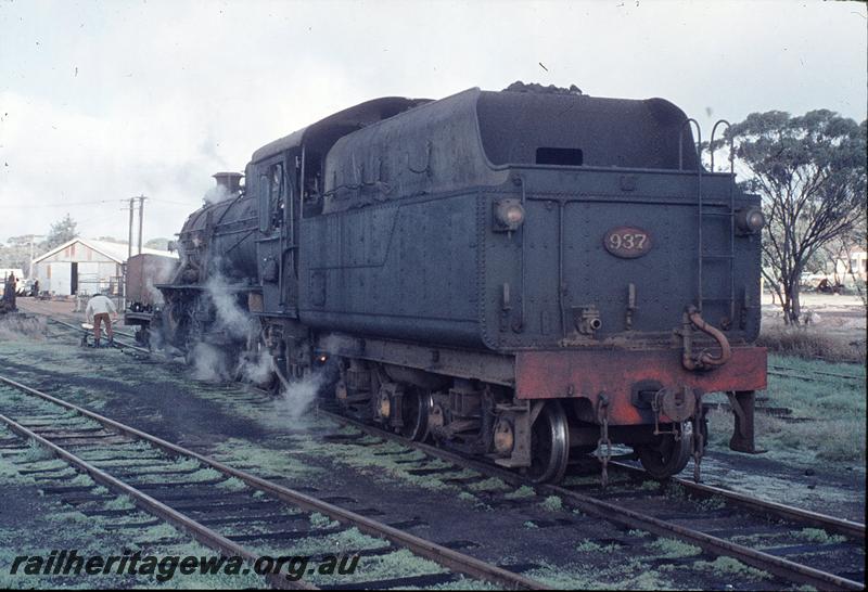 P11506
W class 937, Narrogin loco shed. GSR line.
