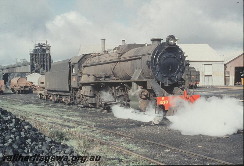 P11508
V class 1210, coaling tower, loco shed, Narrogin. GSR line.
