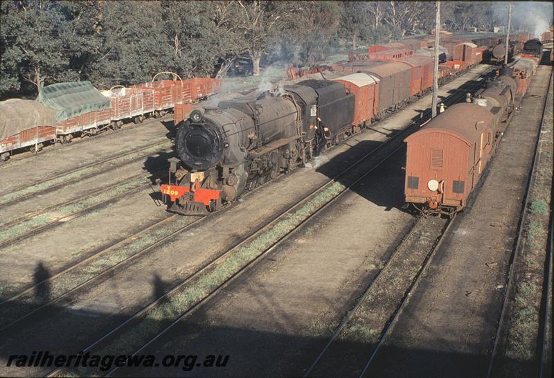 P11528
V class 1209, up goods, arriving in down yard, S class on down goods preparing to leave, Narrogin. GSR line.
