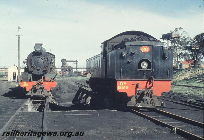 P11555
W class 925, DM class 585, coaling tower, ash pit, East Perth loco shed. ER line.

