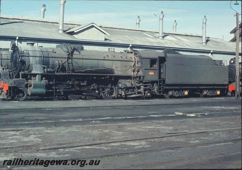P11557
V class 1213, East Perth loco shed. ER line.
