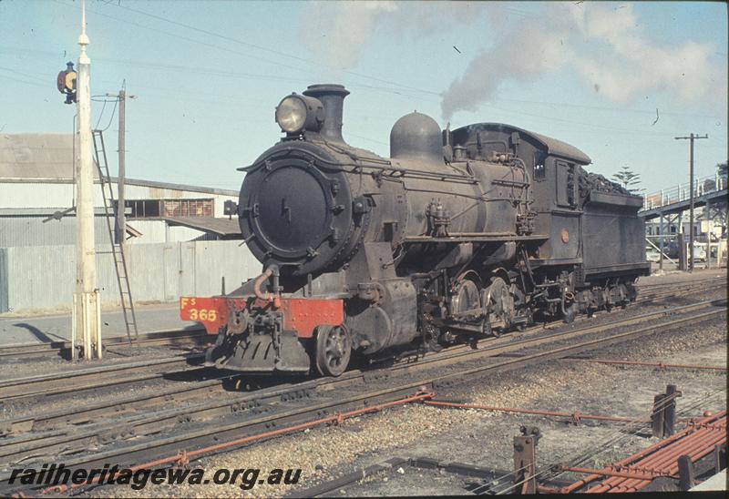 P11565
FS class 365, leaving East Perth yard for East Perth loco shed. ER line.
