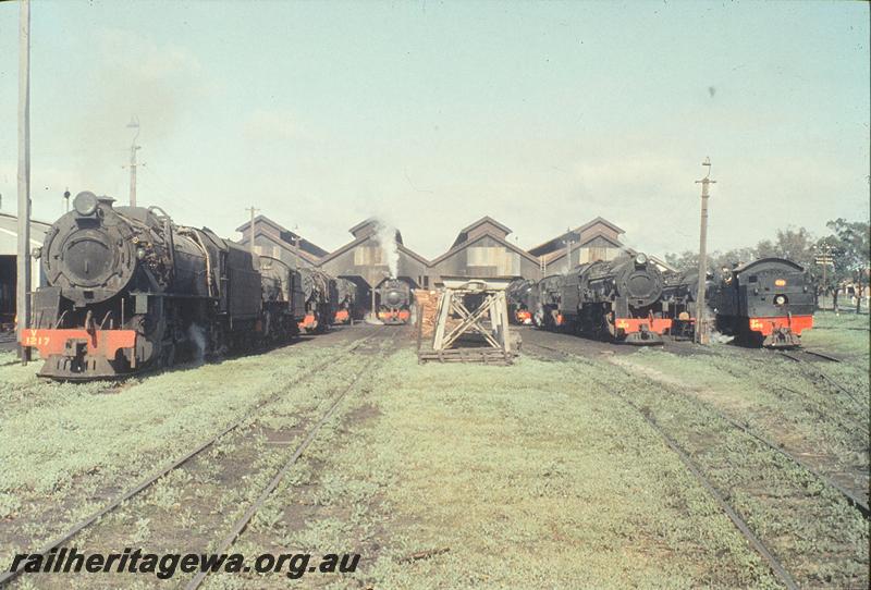 P11590
East Perth loco shed, Mount Lawley end, V class 1217, V class 1223, DM class 586, plus others. ER line.

