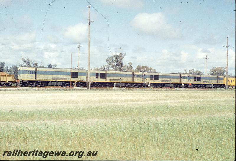 P11724
K class, 4 engines on first iron ore train, Kwinana yard, FM line.
