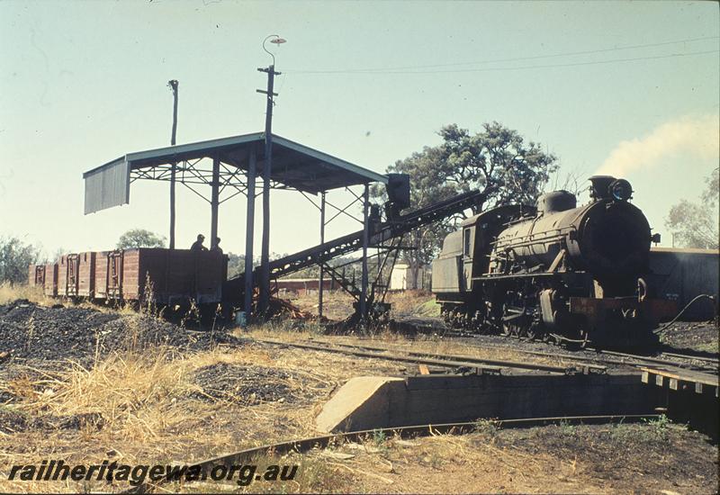 P11831
W class 943, coal conveyor, turntable, loco depot, Boyup Brook, DK line.
