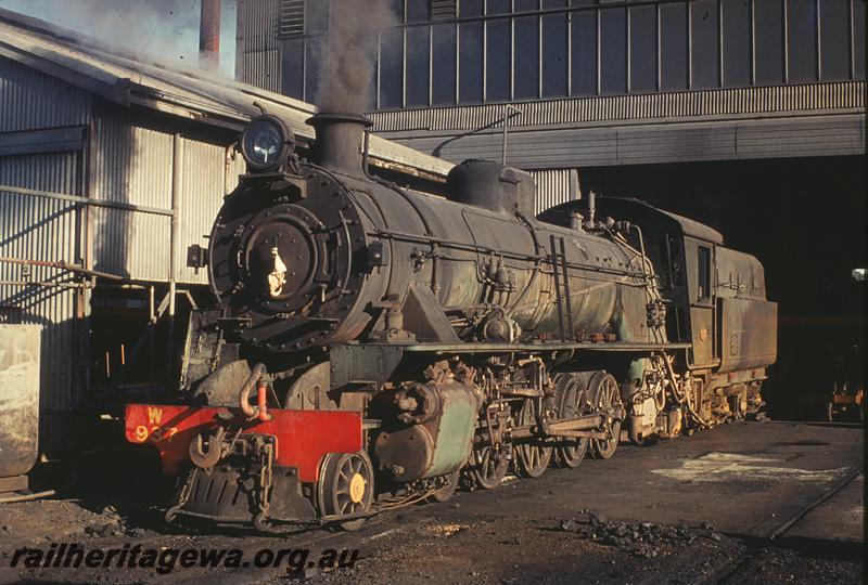 P11846
W class 937, Narrogin loco shed. GSR line.
