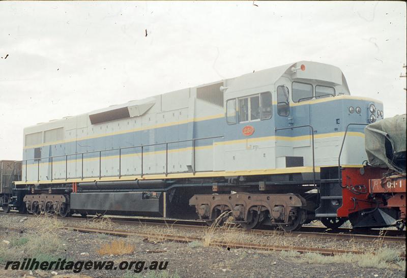 P11904
L class 256, on transfer bogies, bogies on special flat wagon, Port Pirie yard.
