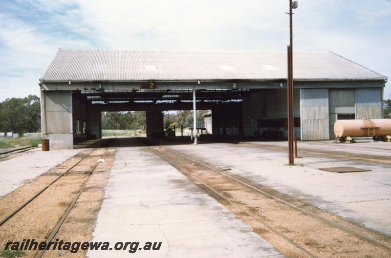 P12097
2 of 5 views of the loco shed at the Narrogin loco depot, GSR line, view from forecourt looking into the shed
