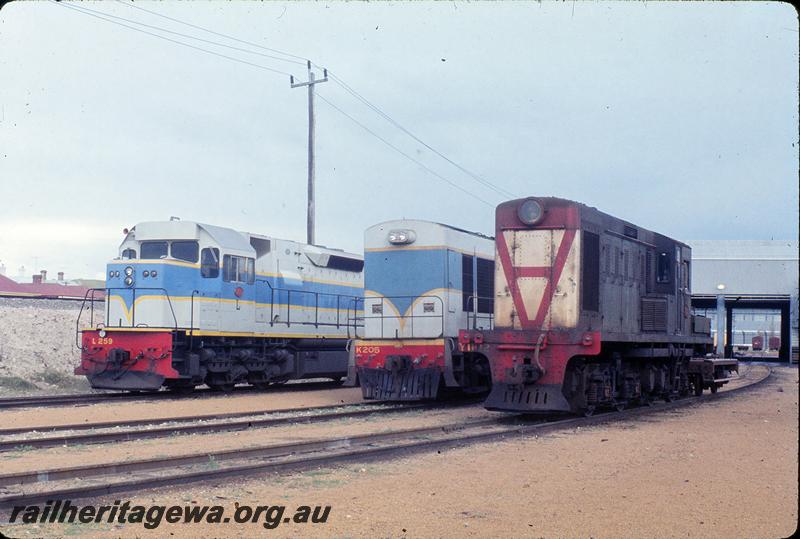 P12242
L class 259, K class 205, Y class 1102, North Fremantle loco shed. ER line.
