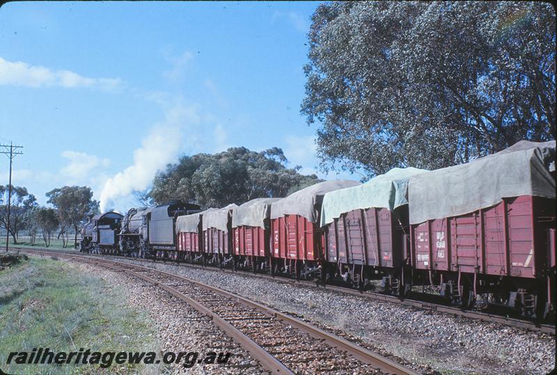 P12252
F class 413, V class 1216, rake of tarpaulin covered GH class wagons in the consist, 24 goods, Avon River bridge, Spencers Brook, Wundowie line in foreground. GSR line.
