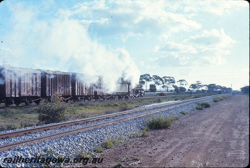 P12261
PM class 708, up goods train, west of Cunderdin, site of future SG loop. EGR line.
