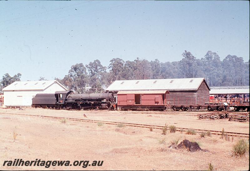 P12390
W class 922, shunting Dwellingup, east end of mill. PN line.
