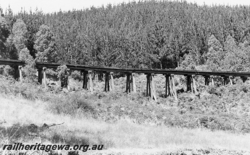P13241
Trestle bridge, Kauri timber Co.'s Uranium road Bridge, near Nannup, side view
