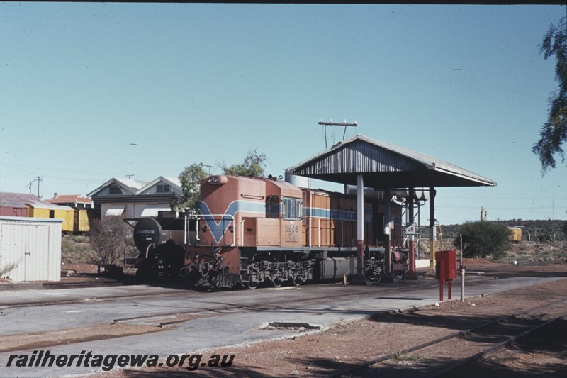 P13266
RA class 1909, JOA class 40404, loco depot, Mullewa, NR line front and side view.
