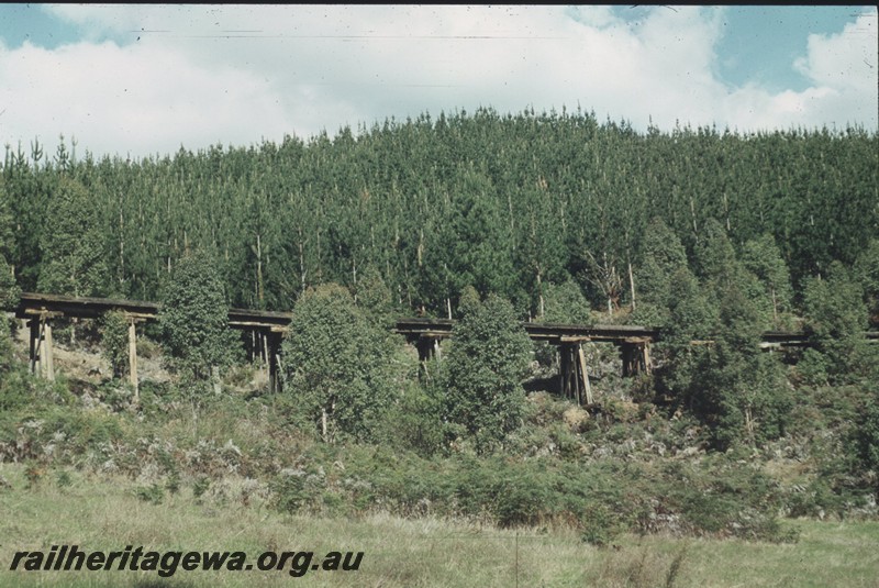 P13270
Trestle bridge, Kauri Timber Co. on Uranium Road near Nannup, side view, since destroyed by a bushfire

