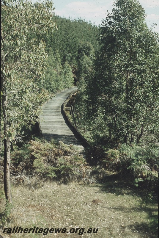 P13271
Trestle bridge, Kauri Timber Co. on Uranium Road near Nannup, view along the deck, since destroyed by a bushfire
