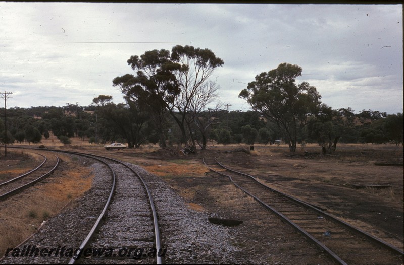 P13429
Line to Defence Department siding, Spring Hill, ER line, view of the abandoned line departing from the main line.
