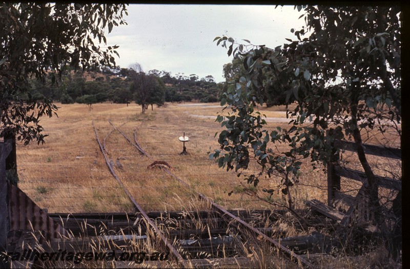 P13430
Line to Defence Department siding, Spring Hill, ER line, view along the line showing the abandoned cattle grid, cheese knob and points to the siding.
