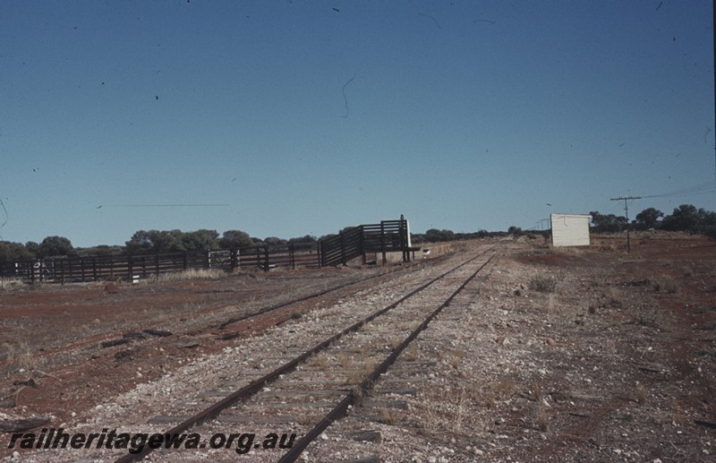 P13452
station shed, stockyard, Wagga Wagga, NR line, view along the line.

