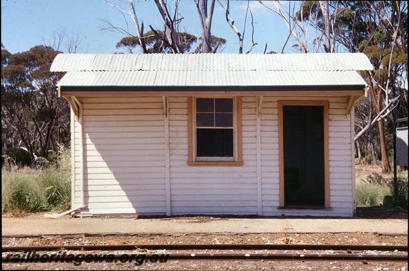 P13845
4 of 7 views of the structures in the station precinct, Kondinin, NKM line, shelter shed used as the station office, front view
